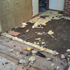 Storm Repair and Restoration
